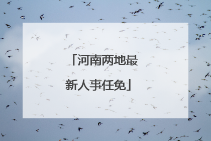河南两地最新人事任免