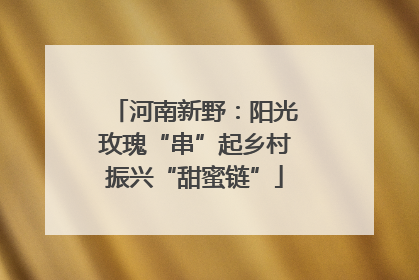 河南新野：阳光玫瑰“串”起乡村振兴“甜蜜链”