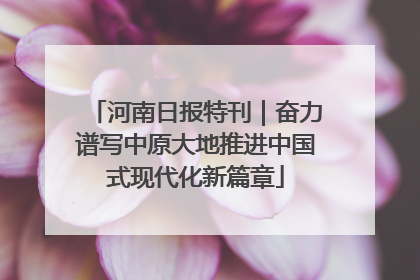河南日报特刊｜奋力谱写中原大地推进中国式现代化新篇章