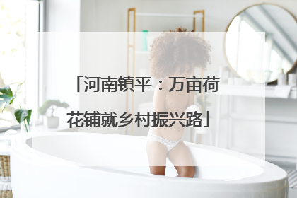 河南镇平：万亩荷花铺就乡村振兴路