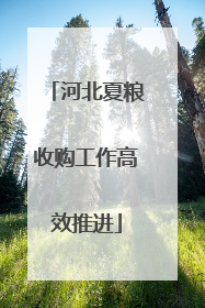 河北夏粮收购工作高效推进