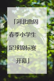 河北曲周春季小学生足球锦标赛开幕