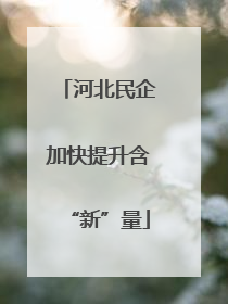 河北民企加快提升含“新”量