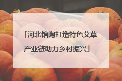 河北馆陶打造特色艾草产业链助力乡村振兴