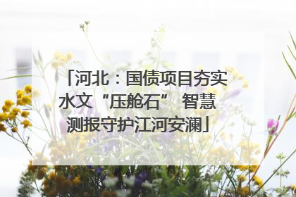 河北：国债项目夯实水文“压舱石” 智慧测报守护江河安澜