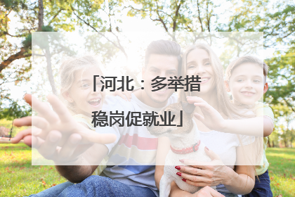河北：多举措稳岗促就业