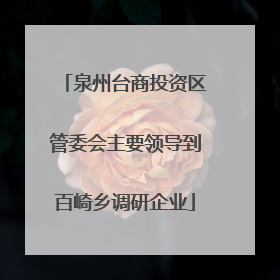 泉州台商投资区管委会主要领导到百崎乡调研企业