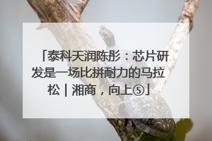 泰科天润陈彤：芯片研发是一场比拼耐力的马拉松｜湘商，向上⑤