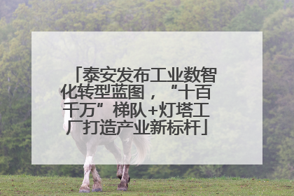 泰安发布工业数智化转型蓝图，“十百千万”梯队+灯塔工厂打造产业新标杆