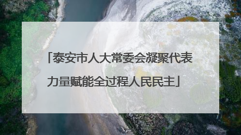 泰安市人大常委会凝聚代表力量赋能全过程人民民主