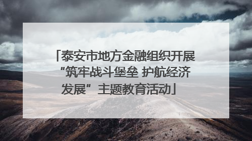 泰安市地方金融组织开展“筑牢战斗堡垒 护航经济发展”主题教育活动