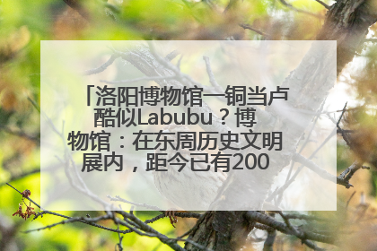 洛阳博物馆一铜当卢酷似Labubu？博物馆：在东周历史文明展内，距今已有2000多年历史