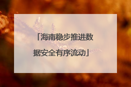 海南稳步推进数据安全有序流动