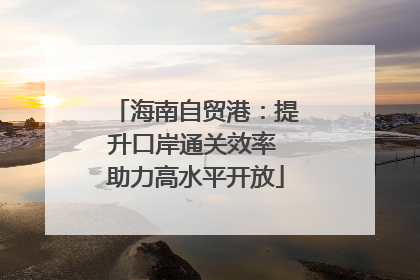 海南自贸港：提升口岸通关效率 助力高水平开放