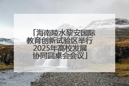 海南陵水黎安国际教育创新试验区举行2025年高校发展协同圆桌会会议