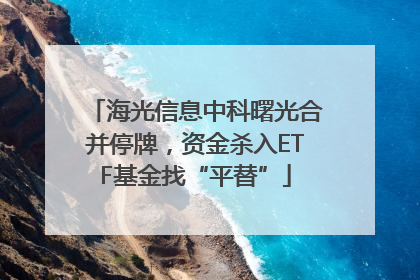 海光信息中科曙光合并停牌，资金杀入ETF基金找“平替”