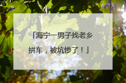 海宁一男子找老乡拼车，被坑惨了！