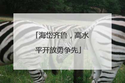海岱齐鲁，高水平开放勇争先