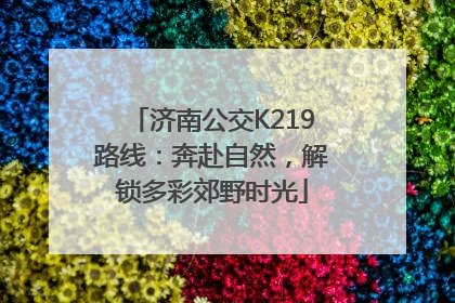 济南公交K219路线：奔赴自然，解锁多彩郊野时光