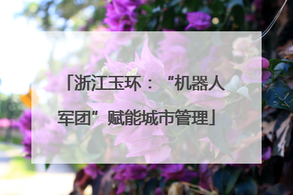 浙江玉环：“机器人军团”赋能城市管理