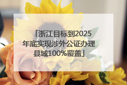 浙江目标到2025年底实现涉外公证办理县域100%覆盖