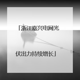 浙江嘉兴电网光伏出力持续增长
