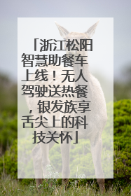 浙江松阳智慧助餐车上线！无人驾驶送热餐，银发族享舌尖上的科技关怀