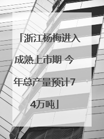 浙江杨梅进入成熟上市期 今年总产量预计74万吨
