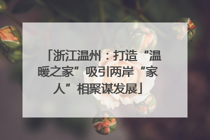 浙江温州：打造“温暖之家”吸引两岸“家人”相聚谋发展