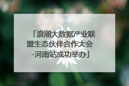 浪潮大数据产业联盟生态伙伴合作大会-河南站成功举办