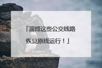 淄博这些公交线路恢复原线运行！