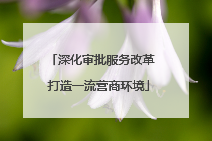 深化审批服务改革 打造一流营商环境