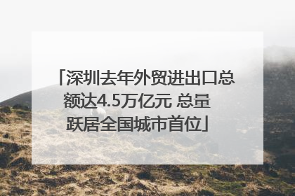 深圳去年外贸进出口总额达4.5万亿元 总量跃居全国城市首位