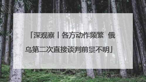 深观察丨各方动作频繁  俄乌第二次直接谈判前景不明