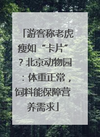 游客称老虎瘦如“卡片”？北京动物园：体重正常，饲料能保障营养需求