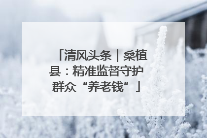 清风头条｜桑植县：精准监督守护群众“养老钱”