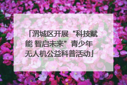 渭城区开展“科技赋能 智启未来”青少年无人机公益科普活动
