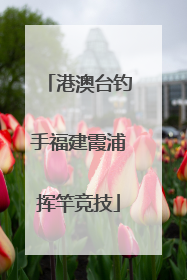 港澳台钓手福建霞浦挥竿竞技