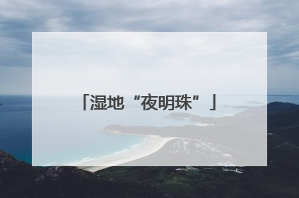 湿地“夜明珠”