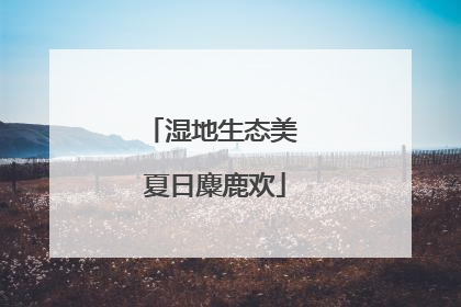 湿地生态美 夏日麋鹿欢