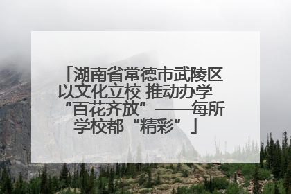 湖南省常德市武陵区以文化立校 推动办学“百花齐放”——每所学校都“精彩”