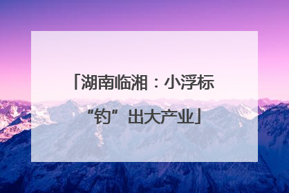 湖南临湘：小浮标“钓”出大产业