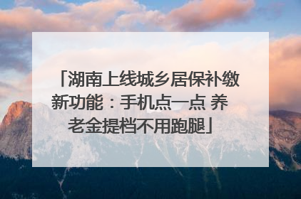 湖南上线城乡居保补缴新功能：手机点一点 养老金提档不用跑腿
