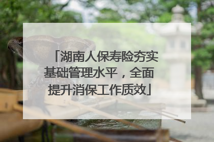 湖南人保寿险夯实基础管理水平，全面提升消保工作质效