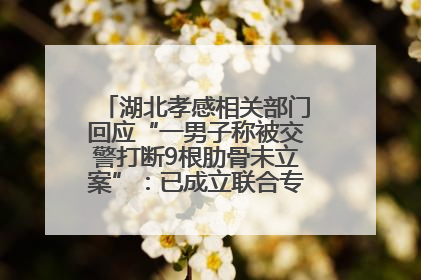 湖北孝感相关部门回应“一男子称被交警打断9根肋骨未立案”：已成立联合专班开展工作