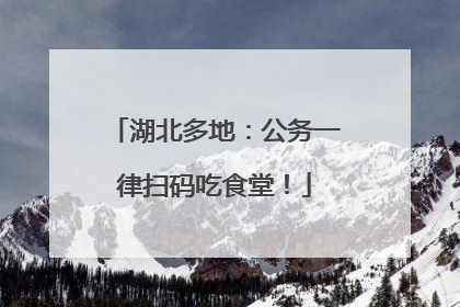湖北多地：公务一律扫码吃食堂！