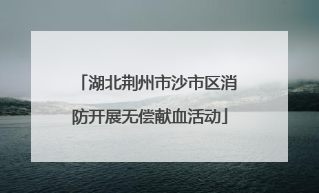 湖北荆州市沙市区消防开展无偿献血活动