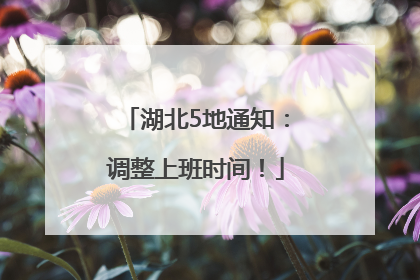 湖北5地通知：调整上班时间！