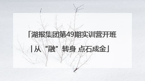 湖报集团第49期实训营开班│从“融”转身 点石成金