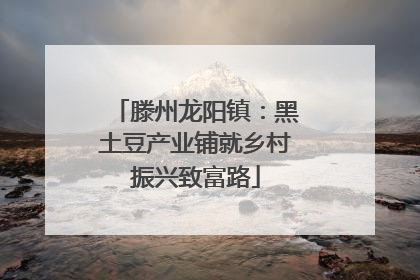 滕州龙阳镇：黑土豆产业铺就乡村振兴致富路